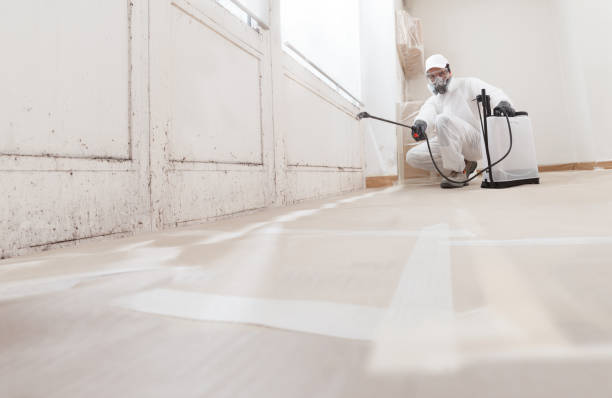 24/7 Emergency Mold Removal experts in Ashland, VA