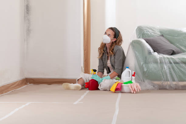 Reliable Mold Removal contractor in Ashland, VA by WQB Mold Removal